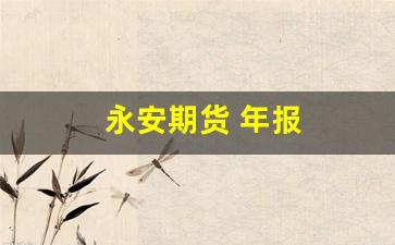永安期货 年报(永安期货年报2018)_https://www.xzdzcjn.com_上交所_第1张